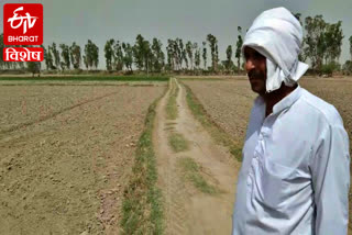 palwal farmers no money mera pani meri virasat scheme