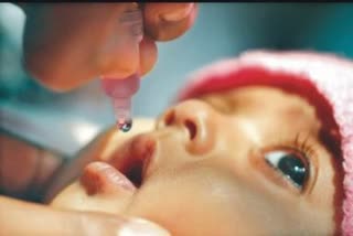 polio drops campaign, पोलियो दवा