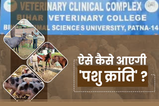 Lack of veterinary hospitals and doctors in Bihar