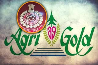 enforcement directorate special court dismissed agri gold promoters bail petition