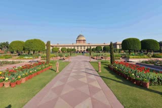 mughal gardens