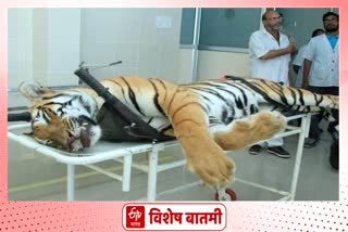 Plea filed in Supreme court regarding violation of guidelines given by apex court while killing tigress Avani