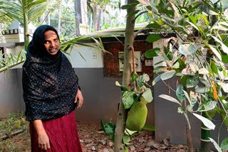 farmer Najla Kozhikode Nadapuram  KTK Najla achieves success organic farming kozhikkode  ജൈവ കൃഷിയിൽ നേട്ടം കൈവരിച്ച് കെ.ടി.കെ നജ്‌ല  കോഴിക്കോട്
