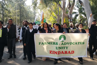 lawyers association foot march chandigarh