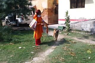 archana help animals