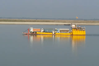 dolphin is not safe in ganga river in sahibganj