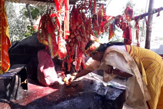 ভূইচম্পাদেৱী মন্দিৰত পাচদিনীয়া মহোৎসৱ আৰম্ভ