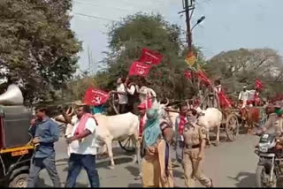 bullock-cart-morcha-hits-the-district-collectors-office-to-support-the-farmers-agitation-in-delhi