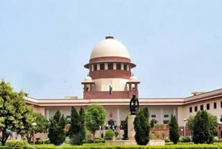 SC panel holds consultations with 12 farmer unions from 8 states