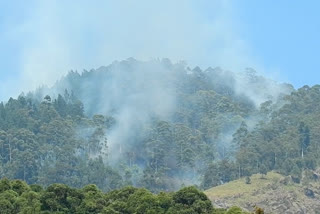 kodaikanal forest fire