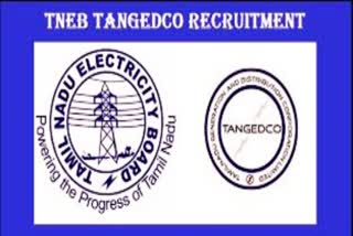 TNEB Vacancy  TNEB Job Recuirtment  TNEB Job Notification  தமிழ்நாடு மின் துறை அறிவிப்பு  கள உதவியாளர் பணியிடங்களுக்கு விண்ணப்பம்  தமிழ்நாடு மின் துறை வேலை வாய்ப்பு  Tamil Nadu Electricity Department Announcement  TNEB Application for Field Assistant posts  Tamil Nadu Electricity Sector Job Opportunity