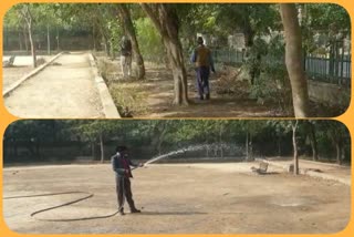 MCD spraying with watering plants and trees in Sector 7 parks of Dwarka