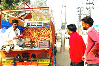 Hanumangarh News, अनार की बिक्री