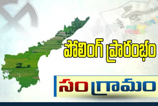 ap local polls