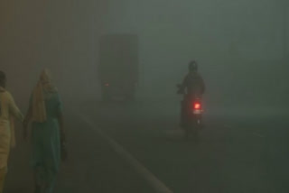 Dense fog engulfs parts of Delhi, AQI remains in 'very poor' category