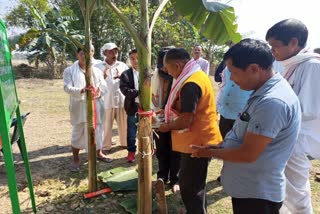 tingkhong lay foundation stone scheme