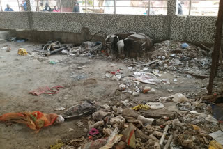 pankha road under flyover in bad condition