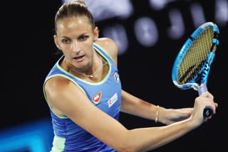 Watch | Czech Mate! Muchova upsets compatrot Pliskova at Aus Open, Svitolina wins