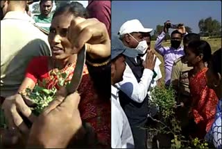 farmer woman talks dc with  sickle in hand