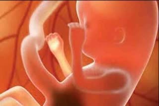 CID start investigation in of case 4-week-old fetus disappearing from womb of a minor