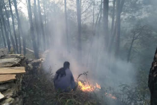 fire in someshwar forest panchayat