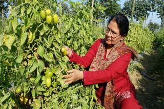 रंग लाई कनकलता की मेहनत