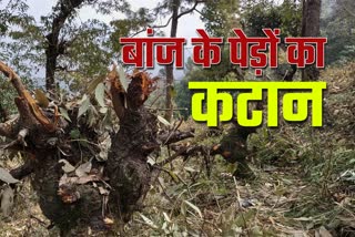 Mussoorie Forest Department