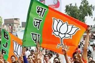 udaipur news, BJP appointed observers