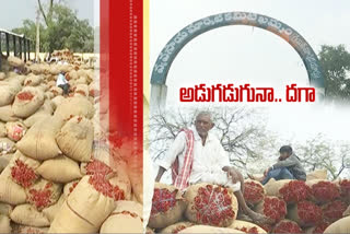 chilli-crop-market-prices-issue-in-khammam-market