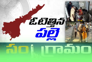 ap localbody elections