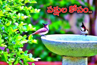 bird lover shekhar gives water to birds in mid summer
