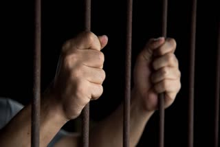 prisoners parole corona time haryana