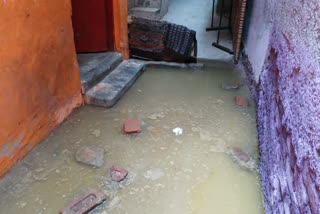 people are live in  dirty water of sewer in Brahmapuri Colony