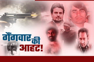 Fear of gang war in Sikar,  Rajasthan News