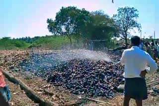 Miscreants set fire on maize Heap in Chitradurga