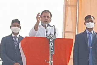 Rahul Gandhi promises to hike wages of tea workers with money from Gujarat traders owning tea gardens