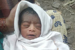 newborn child in the ditch chikkodi news