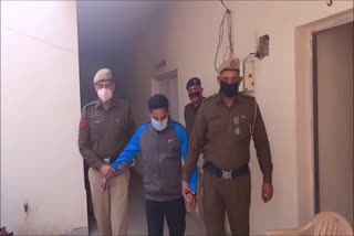 palwal absconding rape accused arrested