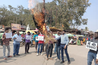 Social organizations burnt effigy of Naxalites