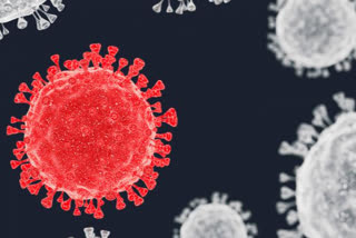 Coronavirus active cases have increased in country