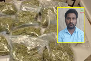 sot-police-have-arrested-a-man-for-selling-cannabis-in-hyderabad