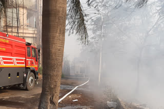 a big fire broke out near the royal palm hotel in aarey colony mumbai