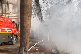 मुंबई के आरे कॉलोनी में आग
