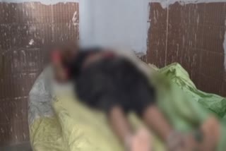 murder in Badopal village, brother murdered sister