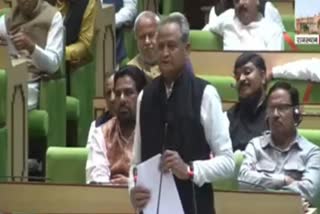 chief minister ashok gehlot