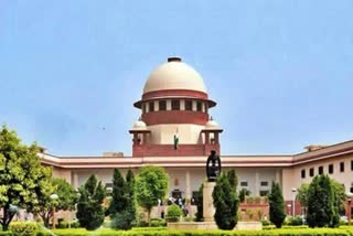 SC panel on farm laws holds consultations with agri-professionals, academicians