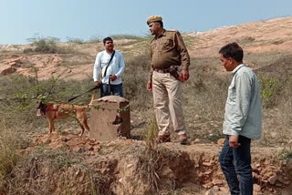 Police is taking help of dog squad,  Theft attempted in the temple