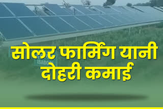 solar farming