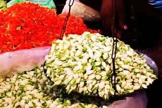 flower  market  jasmine  price  மதுரை மல்லிகை பூ விலை குறைய வாய்ப்பு  மதுரை மல்லிகை  Madurai Jasmine flower  Madurai Jasmine flower prices likely to fall