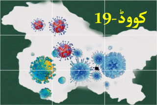 گزشتہ 24 گھنٹوں میں کووڈ کے 64 کیسز درج